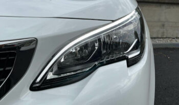 
Peugeot 3008 completo									