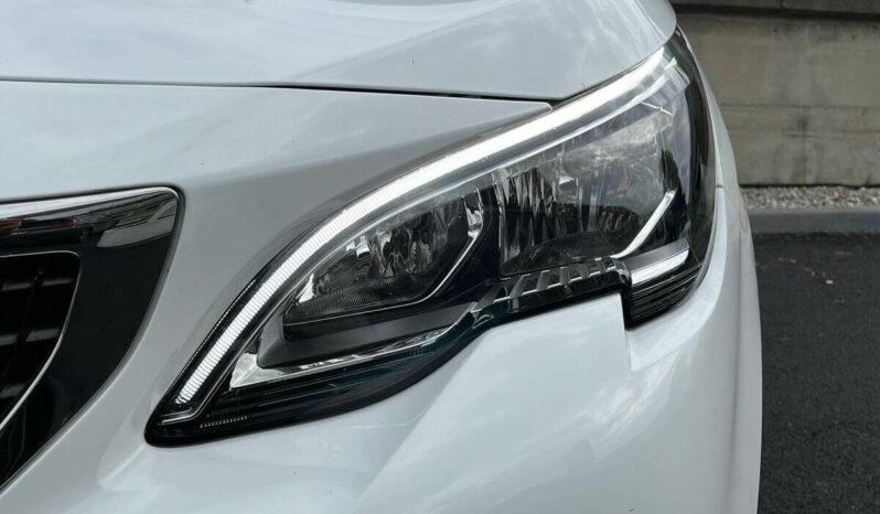 
Peugeot 3008 completo									
